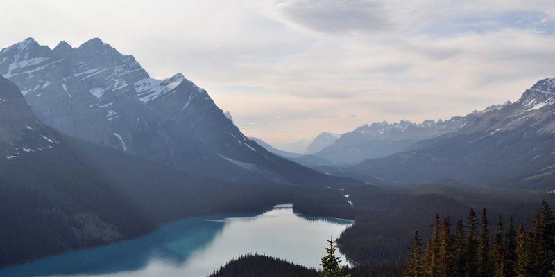 ESG投资与加密货币市场分析：如何将社会责任融入财富管理并获取超额回报