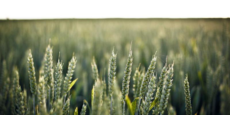 ESG投资新浪潮：如何将环境、社会和治理因素融入你的投资组合以实现可持续回报