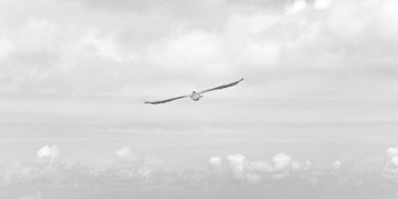 从股票到加密货币：新手必读的现代投资理财全攻略