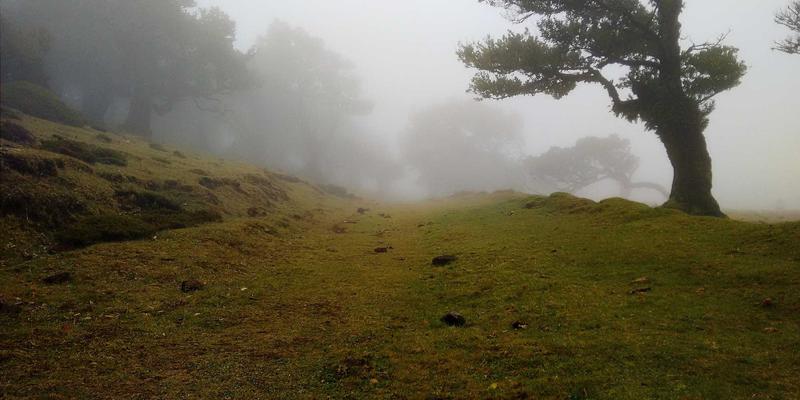 价值投资在A股的实践指南：三大理财策略挖掘被低估的优质标的
