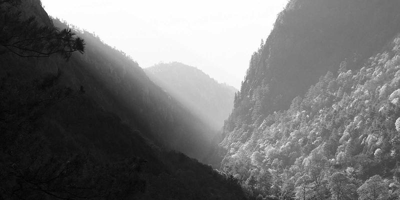 价值投资在中国市场的实践：掌握财务指标分析与安全边际计算，实现稳健财富管理