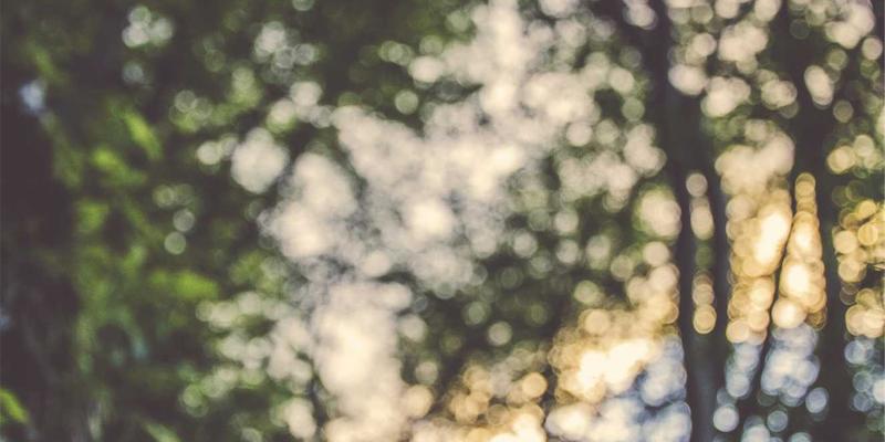 保守型投资者的理财策略：揭秘低风险财富管理，为何应远离加密货币？