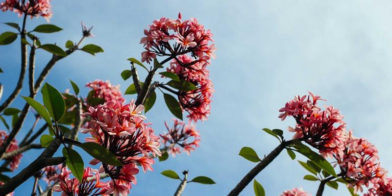 危机阿尔法策略：揭秘基金投资与加密货币在市场动荡中的正收益机会