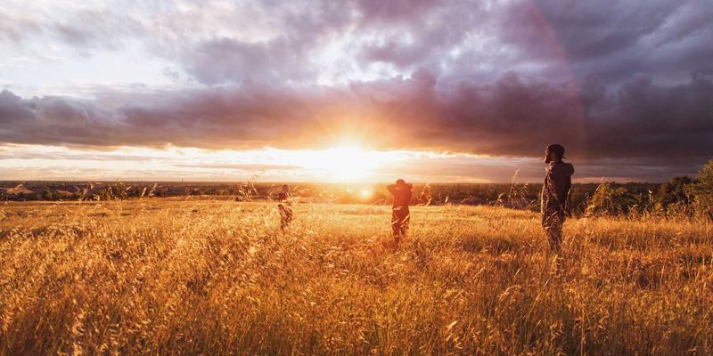 因子投资入门：揭秘价值、动量、质量如何驱动超额收益 | 市场分析与投资理财新视角