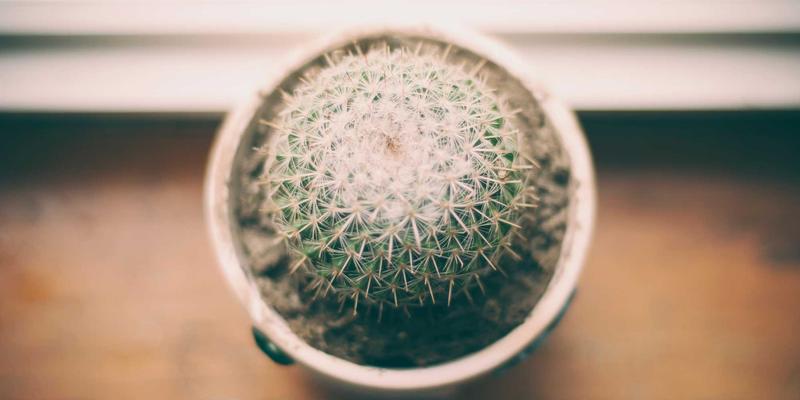 基金投顾服务中的智能再平衡算法与税费优化：财富管理的新利器