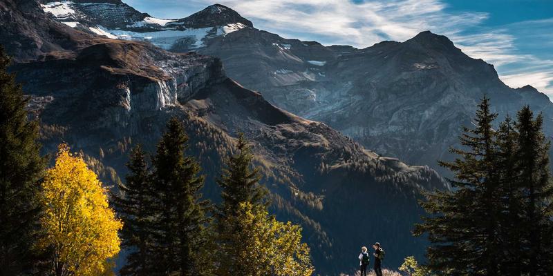 家庭信托设立全攻略：整合加密货币、基金投资与财富管理的传承智慧