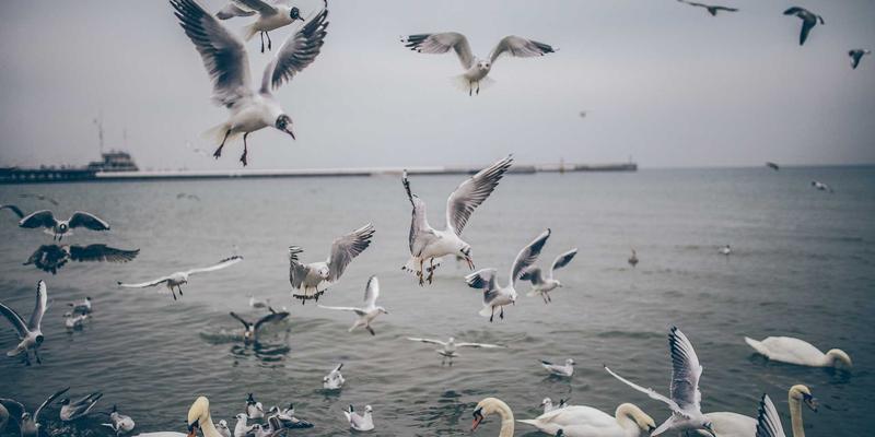 市场分析新视角：揭秘私募股权、风险投资与对冲基金的投资门槛、风险与高收益密码