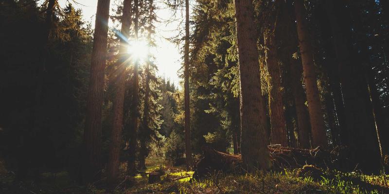 投资理财47：在金融资讯浪潮中，如何理性看待与配置加密货币？