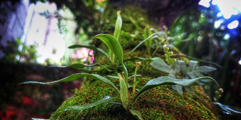 投资理财48法则：穿越市场周期的财富管理智慧