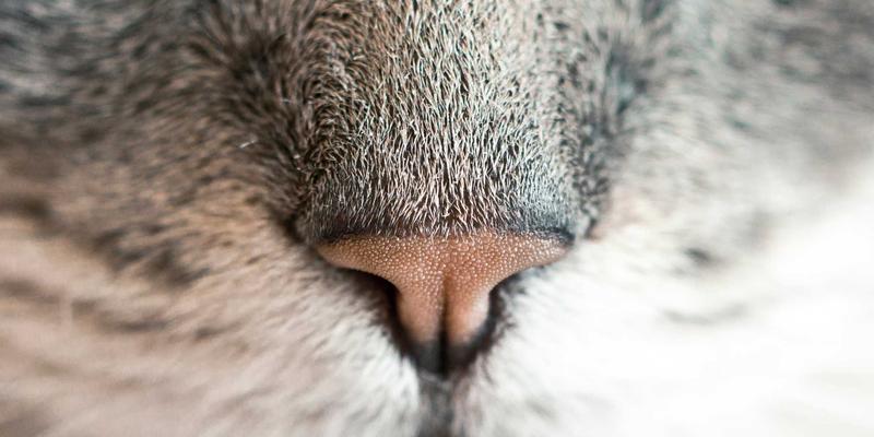 投资理财82法则：如何在股票市场中运用市场分析实现财富增值