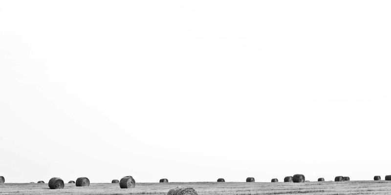 投资理财必修课：运用行为金融学识别认知偏差，做出理性市场分析