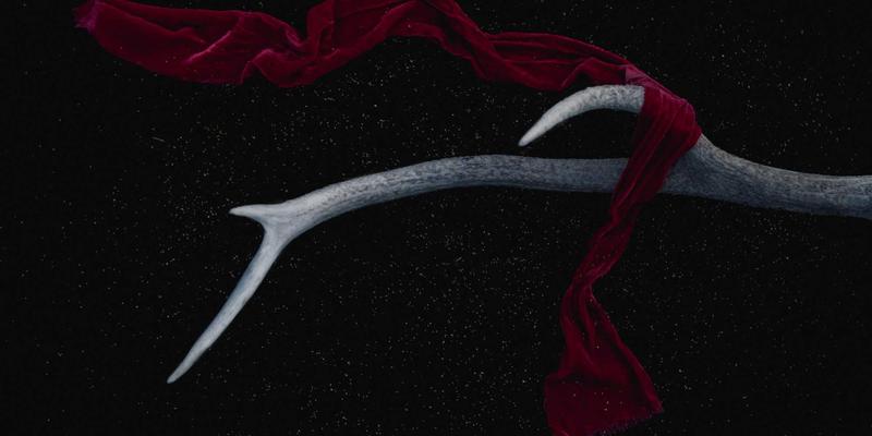 掌握理财策略与基金投资：在市场分析中构建财富优势