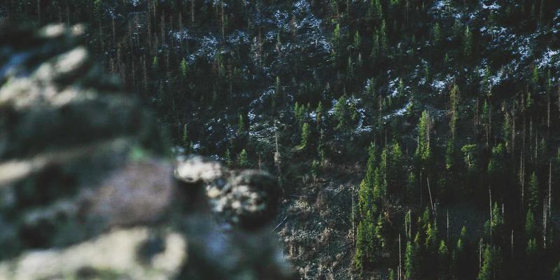 杠铃策略：在股票市场与加密货币中平衡高风险与绝对安全的财富管理智慧