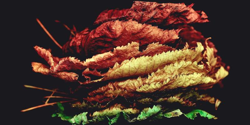 比特币减半周期与矿机投资的机会成本计算：理财策略新视角