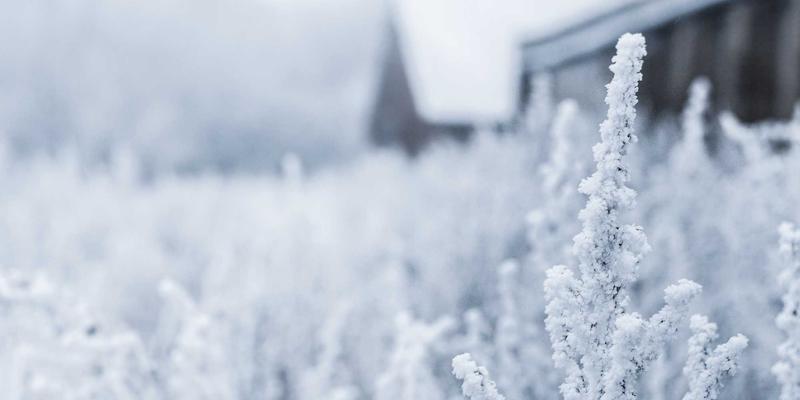 美联储加息周期下，普通投资者的债券与存款配置策略：市场分析与理财指南
