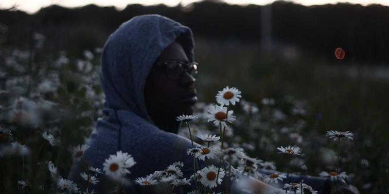 财富管理新趋势：股票市场与基金投资的战略组合